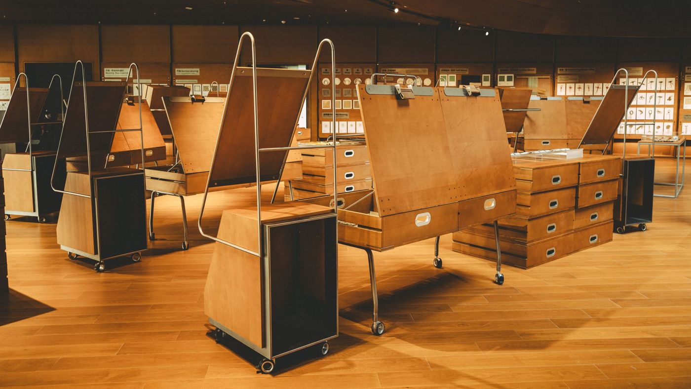 Museum display cabinet of preserved specimens in Reykjavik